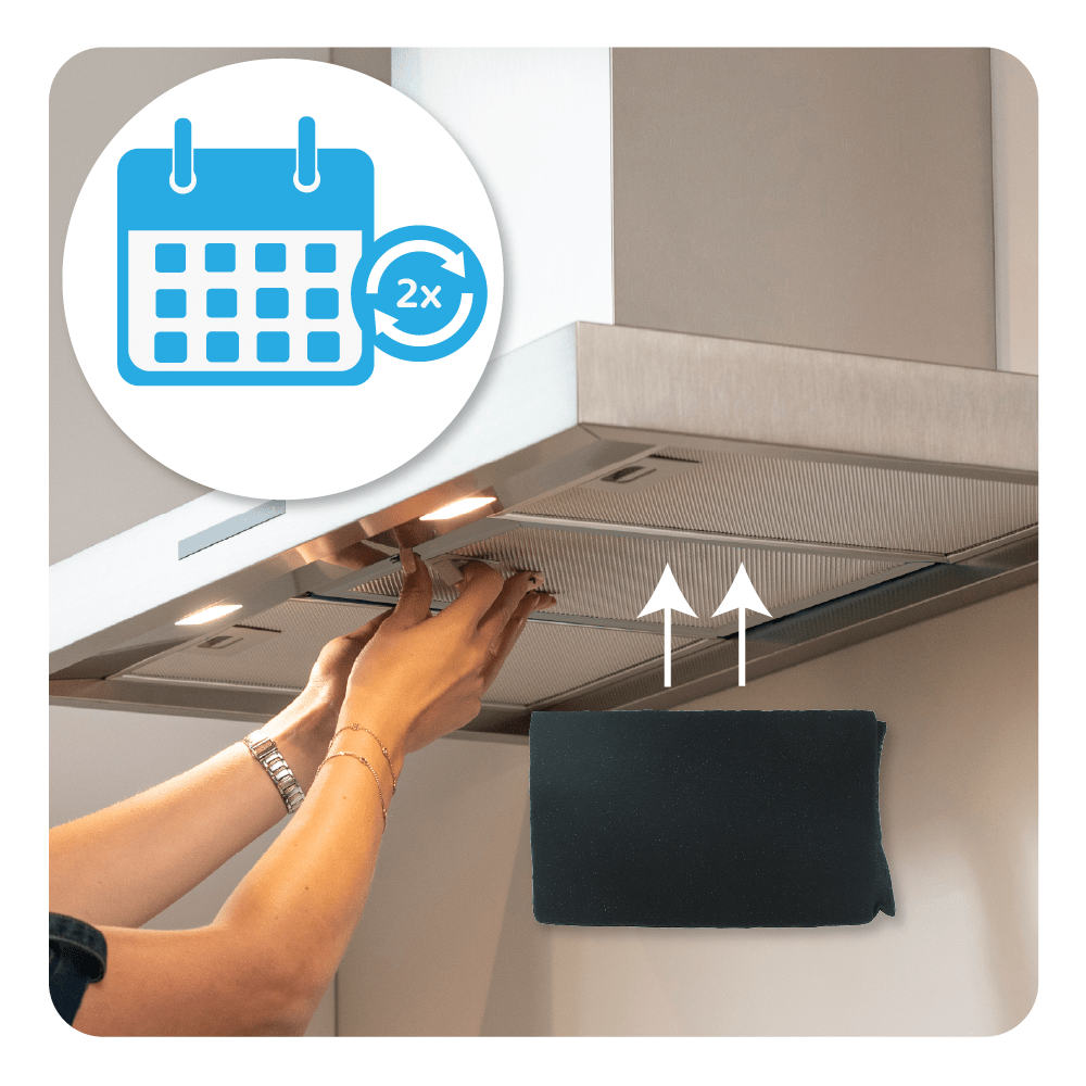 Filtro de carvão ativo regenerável Siemens 17002988 / LZ29IDQ00 (2X)