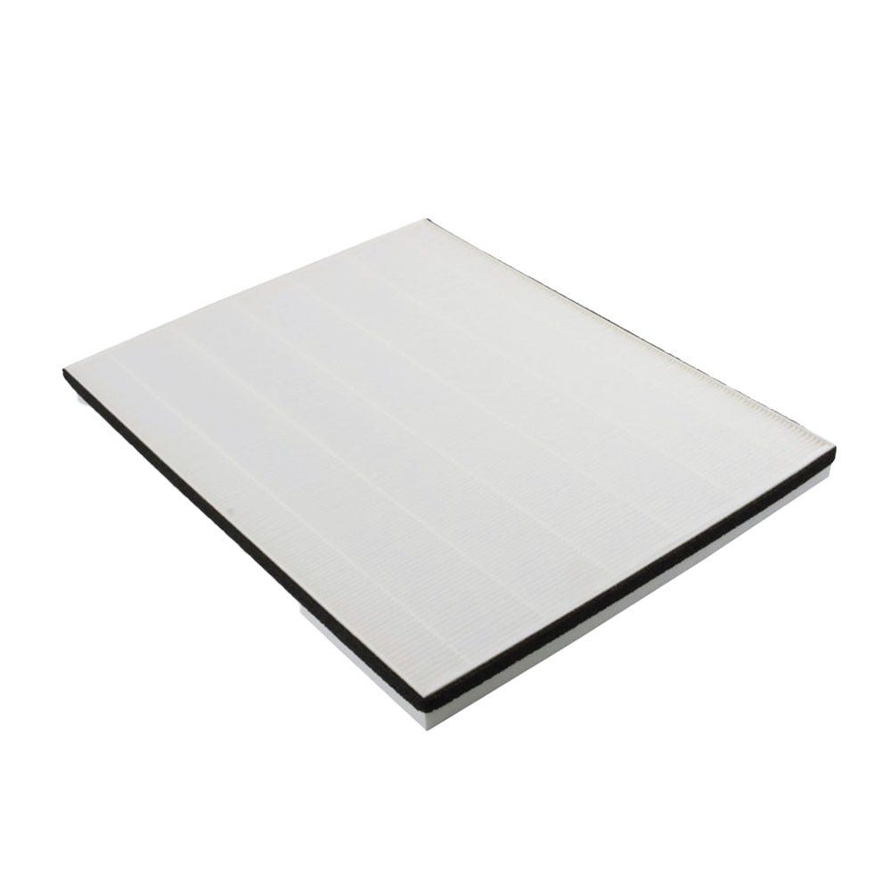 Filtro HEPA H12 AEG AX5 / AX7