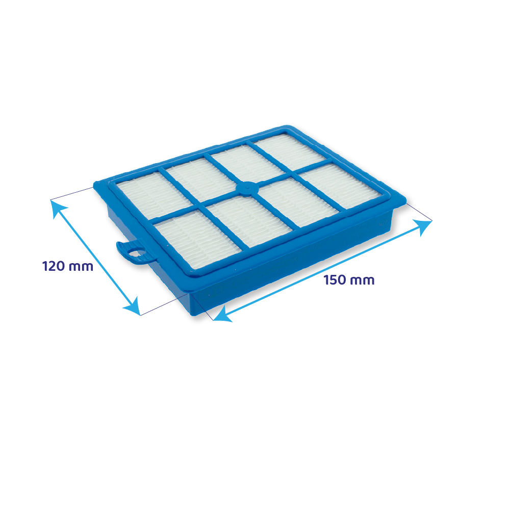 Filtro AEG Allergy Plus® para Aspirador AFS1W / ErgoSpace / UltraOne