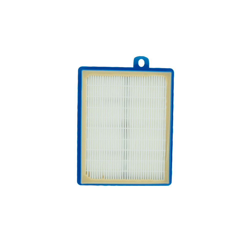 Filtro AEG Allergy Plus® para Aspirador AFS1W / ErgoSpace / UltraOne