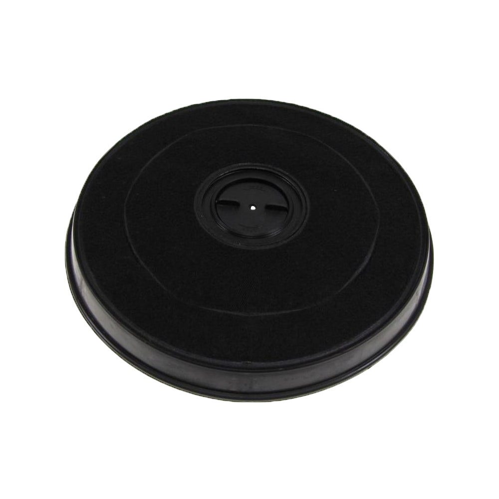 Filtro de carbono Sauter AH4041F1