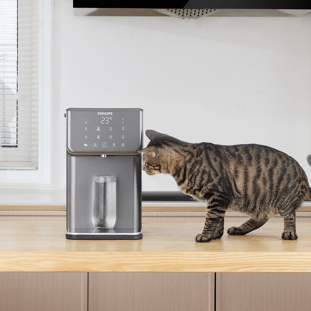 Dispensador de água Philips Tudo-em-Um Quente + Frio ADD5981GR (filtra PFAS) compatível com BRITA