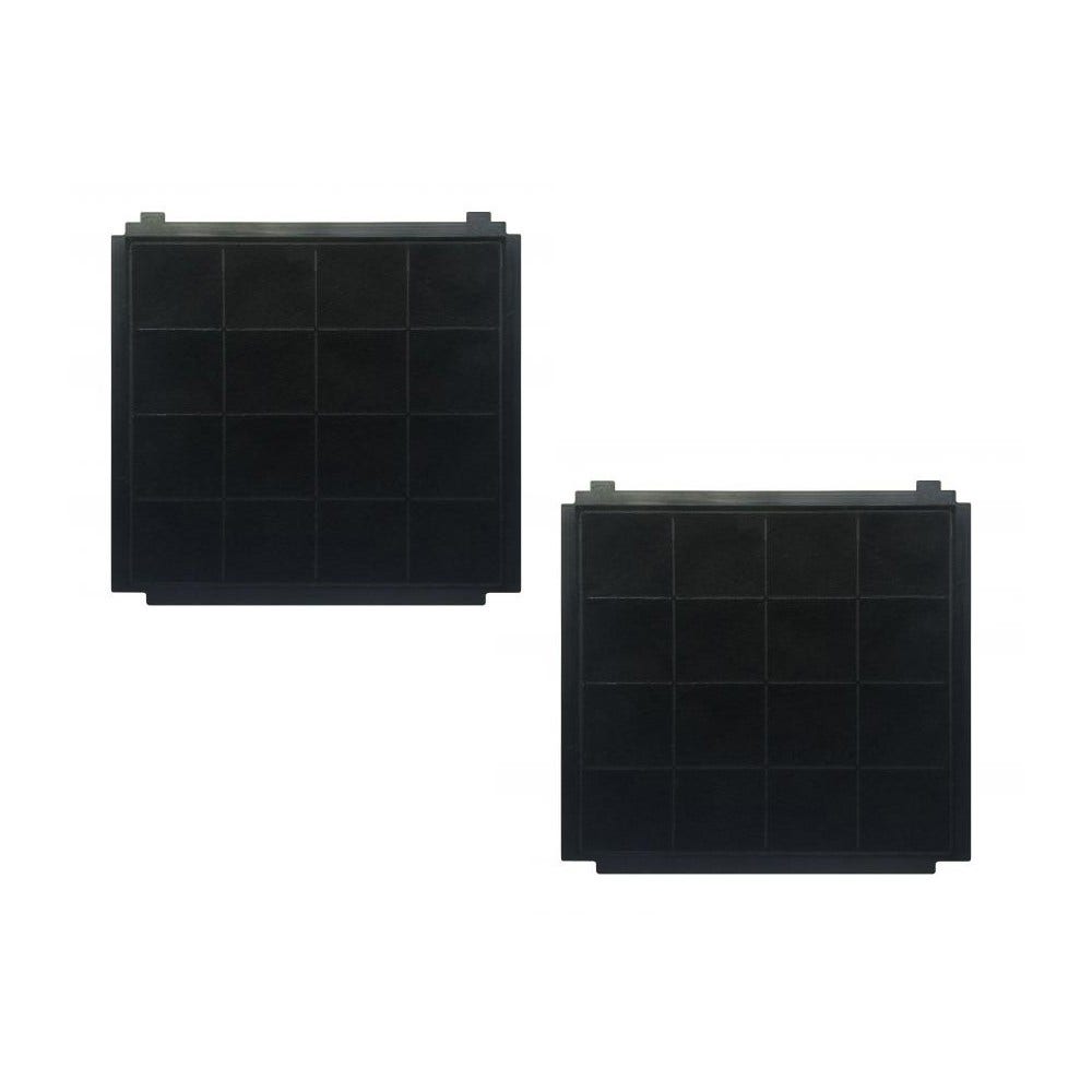 Conjunto de filtro de carbono Airforce AFFCAF174 (2 unidades)