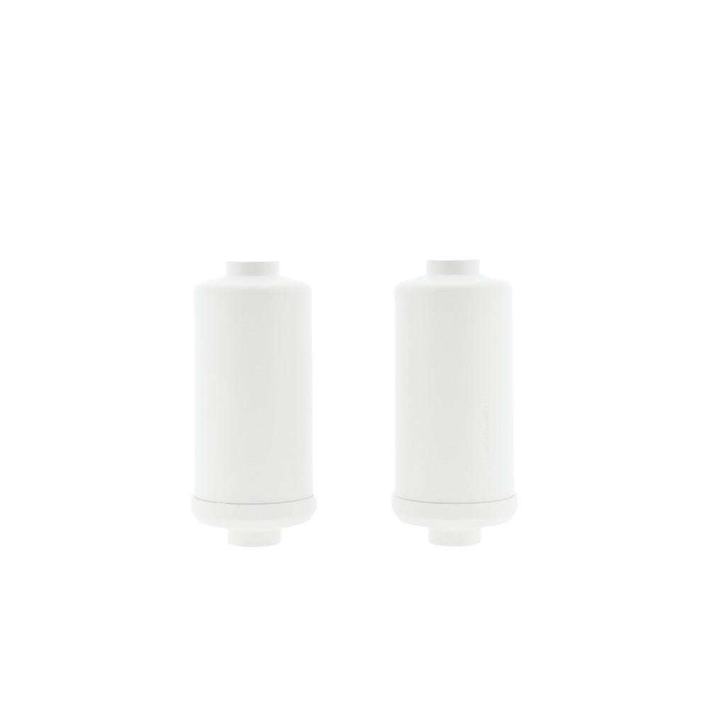 Cartucho de filtro de flúor e arsénio AllSpares para sistema de filtro de gravidade AS-WD010 (2X)