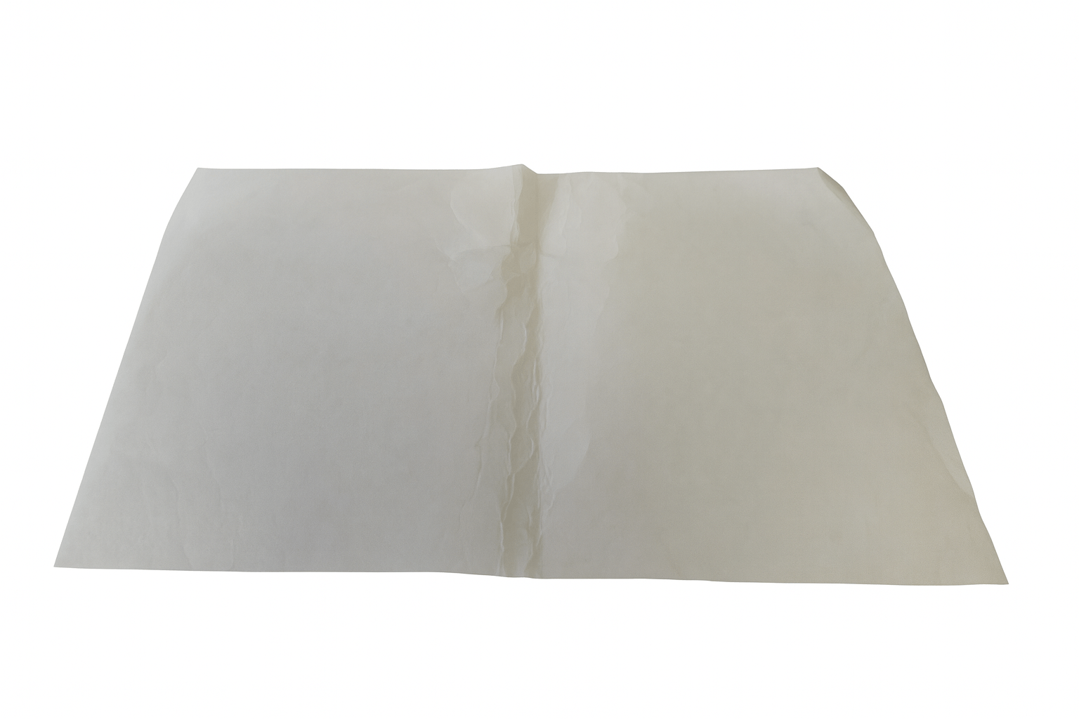 Filtro de gordura Faure 50237070003