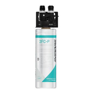 Sistema de filtro de água Everpure 2FC-P