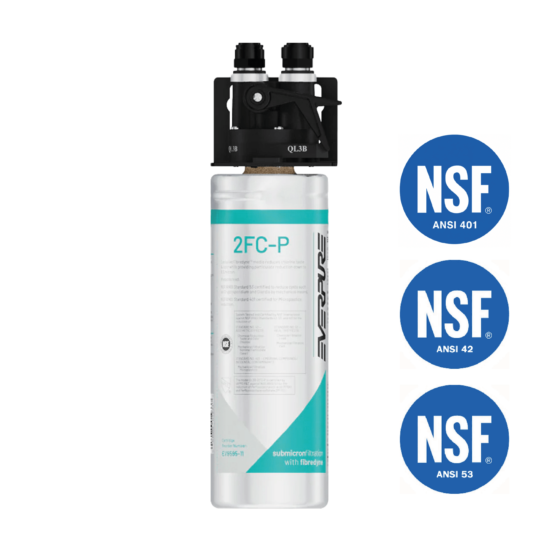 Sistema de filtro de água Everpure 2FC-P