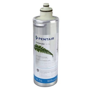 Everpure Cartucho de filtro H-54