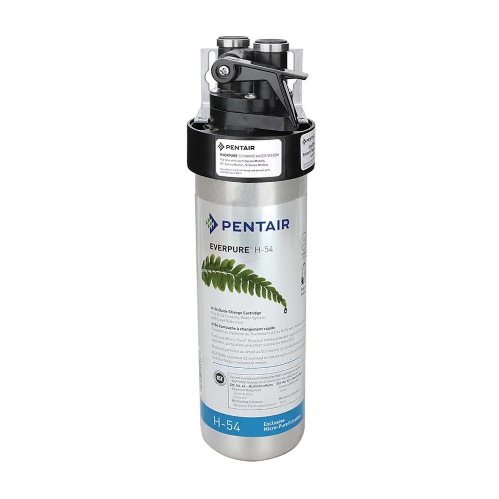 Cartucho de filtro Everpure H-54