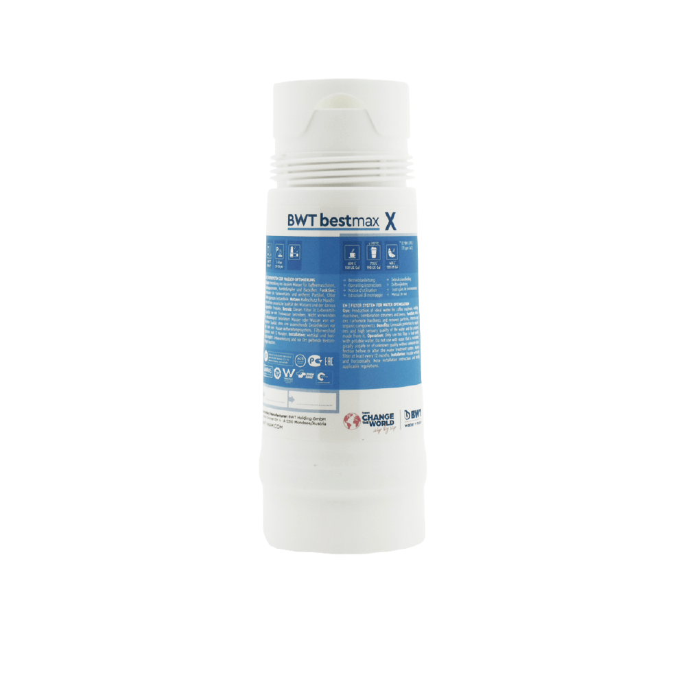 Cartucho de filtro BWT Bestmax X FS20I00A00