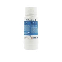 Cartucho de filtro BWT Bestmax X FS20I00A00