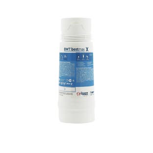 Cartucho de filtro BWT Bestmax X FS20I00A00