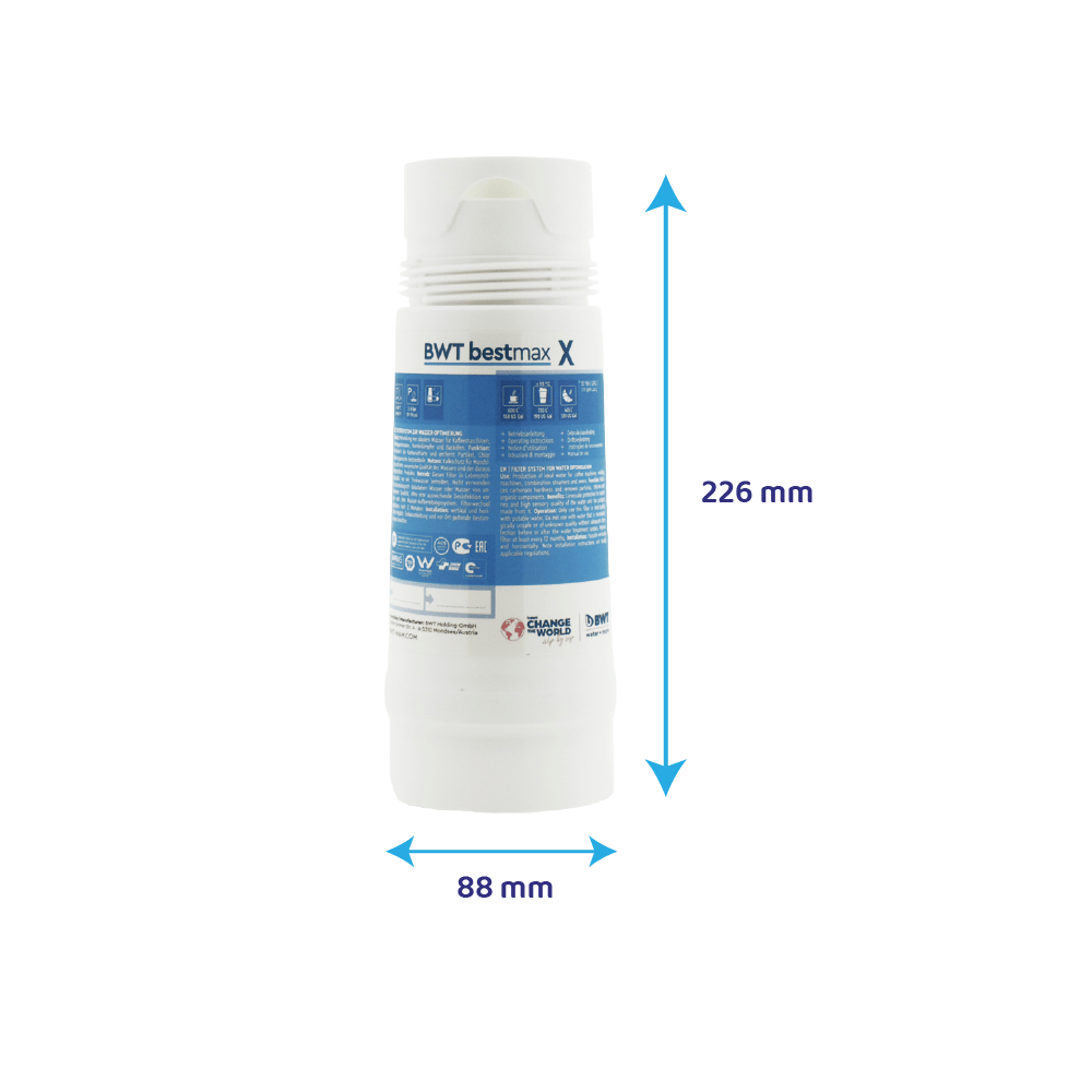 Cartucho de filtro BWT Bestmax X FS20I00A00