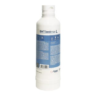 BWT Bestmax L Cartucho de filtro FS26I00A00