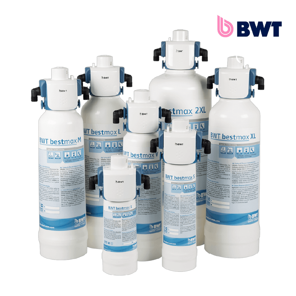 Cartucho de filtro BWT Bestmax 2XL FS30I00A00
