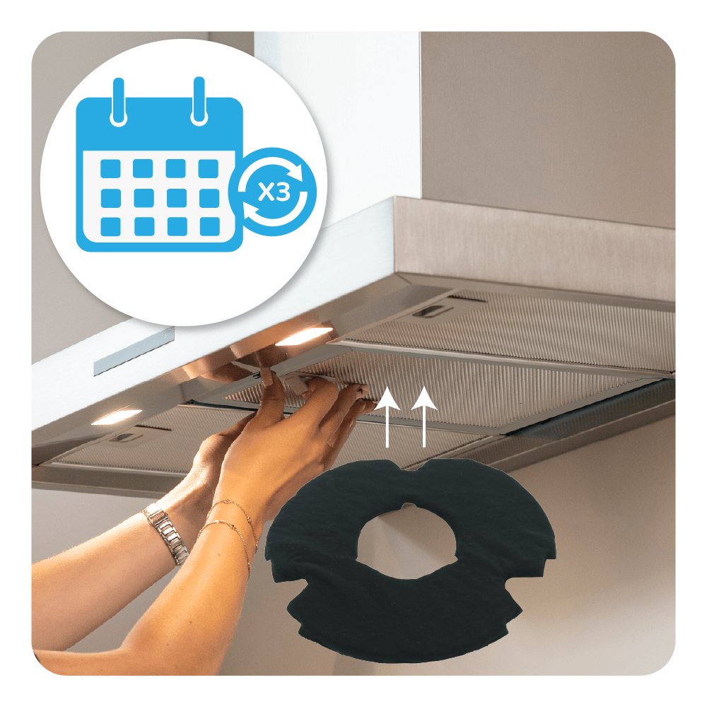 Filtro de carvão ativo regenerável Whirlpool 481249028008 (4X)