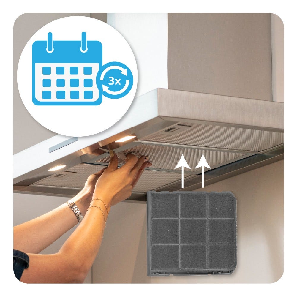 Filtro de carvão ativo longa duração Zanussi MCFB52PL / 9029866069 (2X)