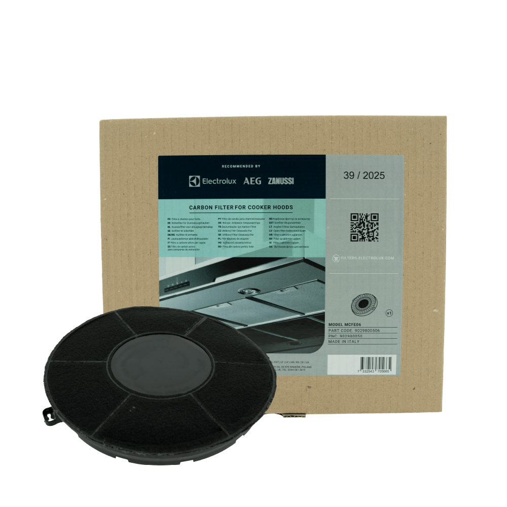 Filtro de carbono MCFE06ST / 9029865921 Zanussi