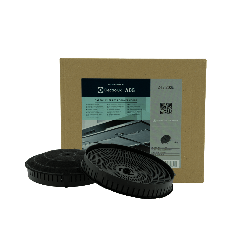 Filtro de carbono MCFE21ST / 9029866051 Zanussi (2 unidades)